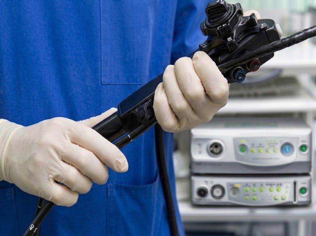Endoscopio veterinario